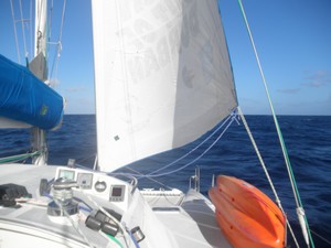 le genois sur un catamaran plein vent arriere