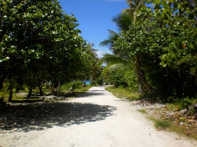 village de tiputaen polynésie