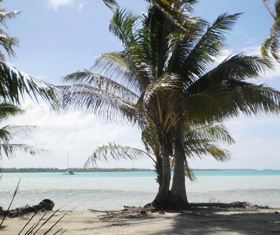 mouillage au fond des sables roses à Rangiroa