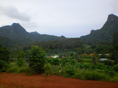 l intérieur de moorea et la végétation