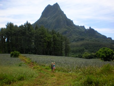 balade a moorea