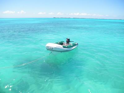 Annexe du Wildcat 350
