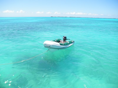 Carré du catamaran à vendre