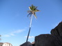 img_galerie/2011_04_bvi/normal/P4080035.JPG