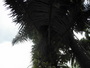 img_galerie/2011_06_grenadines/normal/P6230171.JPG