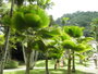 img_galerie/2011_06_grenadines/normal/P6230187.JPG