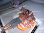 img_galerie/2011_08_grenade_2/normal/P8150003.JPG