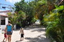 img_galerie/2011_10_los-roques/normal/DSC_0217.JPG