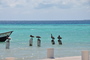 img_galerie/2011_10_los-roques/normal/DSC_0232.JPG