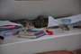 img_galerie/2011_10_los-roques/normal/DSC_0397.JPG