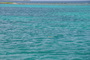 img_galerie/2011_10_los-roques/normal/DSC_0514.JPG