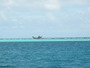 img_galerie/2011_10_los-roques/normal/PA270098.JPG