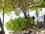 img_galerie/2011_10_los-roques/normal/PA290125.JPG