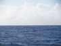 img_galerie/2011_11_curacao/normal/PB120013.JPG