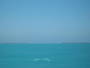 img_galerie/2011_12_cayo_campos/normal/IMG_0494.JPG
