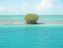 img_galerie/2011_12_cayo_campos/normal/PC260034.JPG