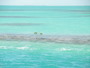 img_galerie/2011_12_cayo_campos/normal/PC260037.JPG
