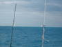 img_galerie/2011_12_cayo_largo/normal/IMG_0195.JPG