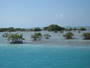 img_galerie/2011_12_cayo_largo/normal/IMG_0233.JPG