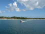 img_galerie/2011_12_cayo_largo/normal/IMG_0296.JPG