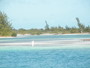 img_galerie/2011_12_cayo_largo/normal/PC220207.JPG