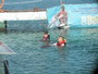 img_galerie/2011_12_cayo_largo/normal/PC220215.JPG