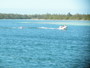 img_galerie/2011_12_cayo_largo/normal/PC230002.JPG