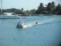 img_galerie/2011_12_cayo_largo/normal/PC230011.JPG