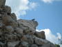 img_galerie/2012_01_temple_maya/chichen_itza/IMG_0692.JPG