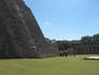 img_galerie/2012_01_temple_maya/uxmal/IMG_0728.JPG