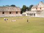 img_galerie/2012_01_temple_maya/uxmal/P1190223.JPG