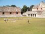 img_galerie/2012_01_temple_maya/uxmal/P1190223.JPG