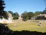 img_galerie/2012_01_temple_maya/uxmal/P1190237.JPG