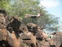 img_galerie/2012_03_galapagos/normal/P3160068.JPG