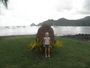 img_galerie/2012_04_nukuhiva/normal/P5290001.JPG