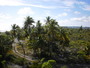 img_galerie/2012_08_fakarava/normal/PICT0055.JPG