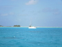 img_galerie/2012_08_fakarava/normal/PICT0357.JPG