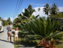img_galerie/2012_10_tikehau/normal/PICT0057.JPG