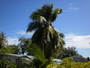 img_galerie/2012_10_tikehau/normal/PICT0058.JPG