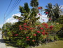 img_galerie/2012_10_tikehau/normal/PICT0061.JPG