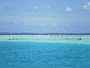 img_galerie/2012_11_tikehau/normal/PICT0215.JPG