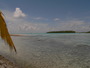 img_galerie/2012_12_rangiroa/normal/P1040768.JPG