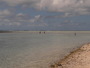 img_galerie/2012_12_rangiroa/normal/P1040770.JPG