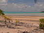 img_galerie/2012_12_rangiroa/normal/P1040779.JPG