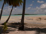 img_galerie/2012_12_rangiroa/normal/P1040783.JPG