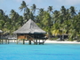 img_galerie/2012_12_rangiroa/normal/PICT0227.JPG