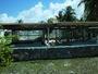 img_galerie/2012_12_rangiroa/normal/PICT0268.JPG