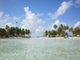 img_galerie/2012_12_rangiroa/normal/PICT0283.JPG