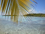 img_galerie/2012_12_rangiroa/normal/PICT0295.JPG