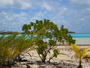 img_galerie/2012_12_rangiroa/normal/PICT0303.JPG